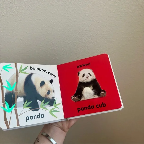 4/$20 Baby Touch and Feel Roar! Roar! Book - Picture 3 of 4